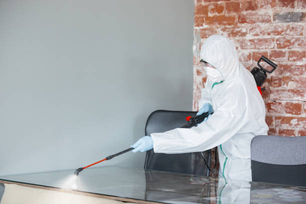 Best Industrial Mold Remediation  in Chandler, AZ